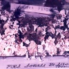 Best Sugar Flowers 1988